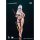 HASUKI PJ-01 Klukai: Cerulean Breaker Ver. Option Swimsuit Set A 1/12 Complete Model Option Part hình ảnh 2