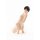 Max Factory PLAMAX 네이키드 엔젤 1/20 사토미 유리아 프라모델 이미지 3