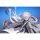 Hobby sakura [Bonus] Wuthering Waves Mornye 1/6 Complete Figure Bild 9