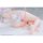 SIKI ANIM White Rabbit Rosu Angel ver. Illustrated by Rosuuri 1/4 Complete Figure Bonus Edition image 9