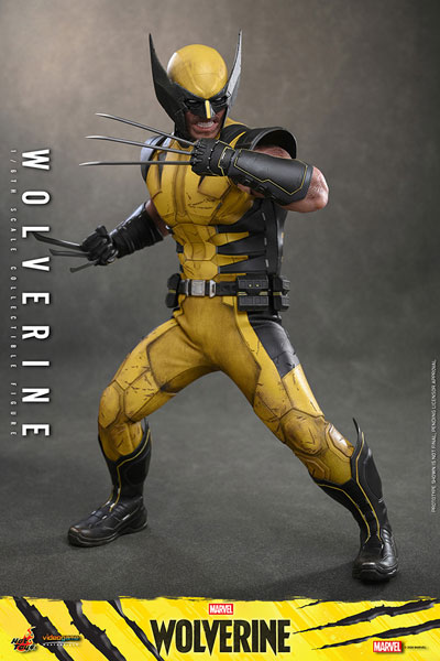 Hot Toys 비디오 게임 명작 '마블스 울버린' 1/6 울버린