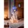 ques Q Mushoku Tensei: Jobless Reincarnation -Isekai Ittara Honki Dasu- Roxy M. Greyrat Sleepwear Ver. 1/6 Complete Figure Bild 12