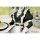 Myethos Arknights Gift+ Kal'tsit: The Remains of Time VER. 1/8 Complete Figure Bild 4
