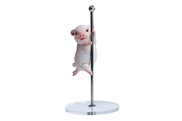 JXK Studio Pole Dance Pig image 1