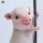 JXK Studio Pole Dance Pig image 12