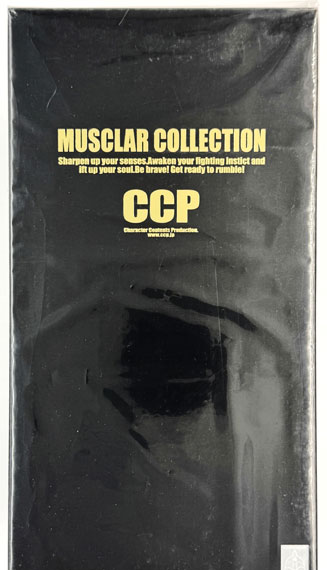 CCP CMC NO.44 Robin Mask Ver.1.0 TOUMA Color Complete Figure รูปภาพ 1