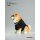 Double one x Lieji 1/6 Shiba Inu Red Shiba รูปภาพ 8