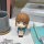 MegaHouse LookUp Ao no Hako Chinatsu Kano Complete Figure 画像 13