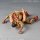 Kaiyodo Revoltech Amazing Yamaguchi Attack on Titan Armored Titan 圖片 13