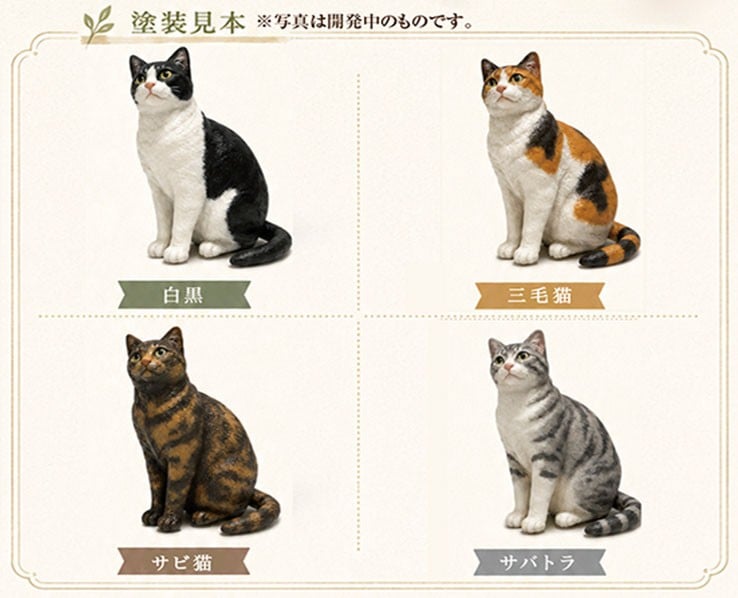 Asuka Model Cat (Mix) (Plastic model) Bild 3