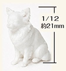 Asuka Model Chihuahua (Set of 10) รูปภาพ 1