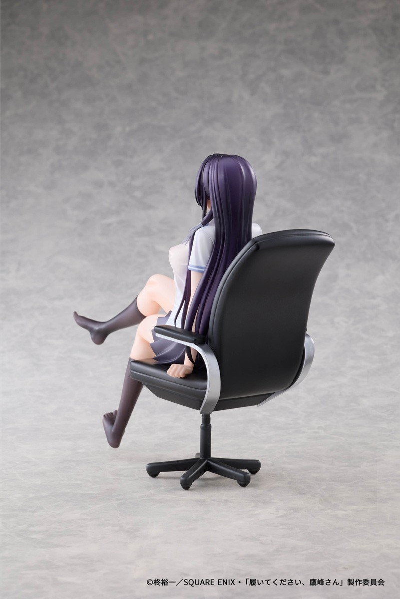 Dragon Horse AFORCE x DRAGON HORSE Please Put Them On, Takamine-san Takane Takamine (Figure) imagen 5