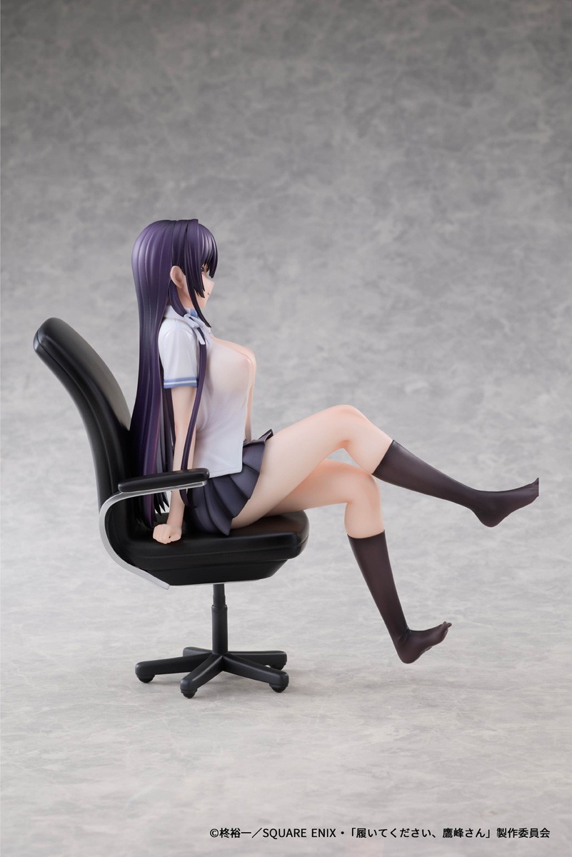 Dragon Horse AFORCE x DRAGON HORSE Please Put Them On, Takamine-san Takane Takamine (Figure) imagen 8