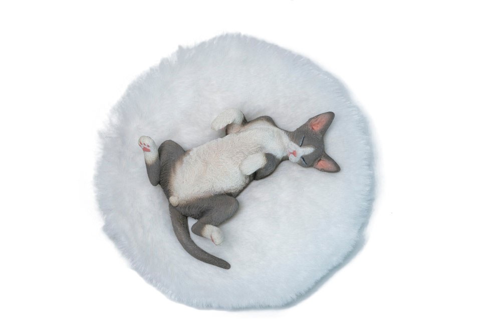JXK Studio JXK Studio Relaxing Devon Rex A (Fashion Doll) image 2