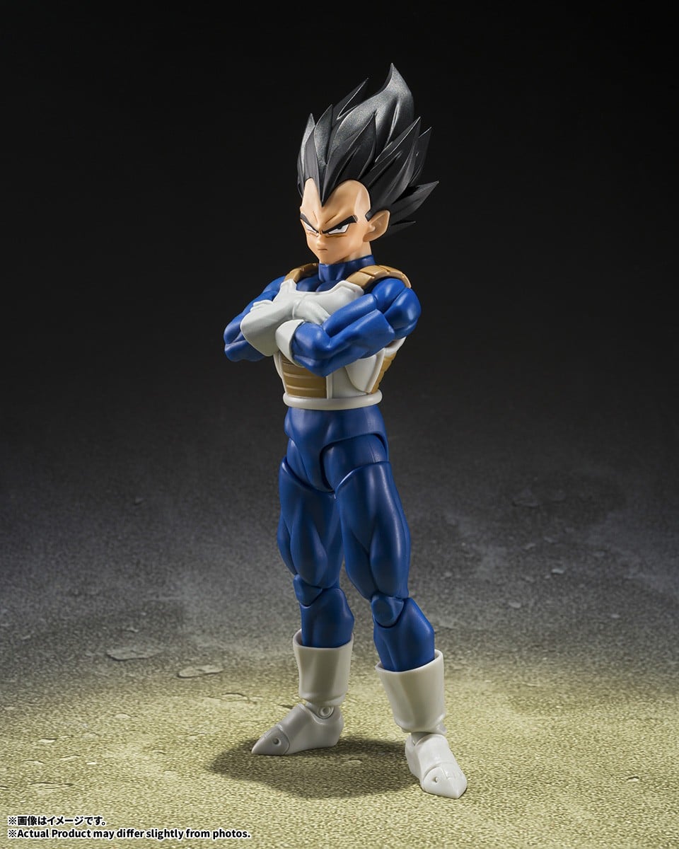 Bandai S.H.Figuarts Vegeta (Z-Fighters) (Completed) 圖片 2