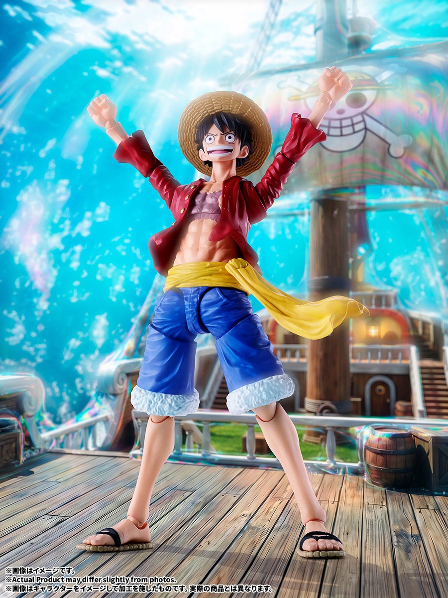 Bandai S.H.Figuarts Monkey D. Luffy -New World- Optional Parts Set (Completed) Bild 8