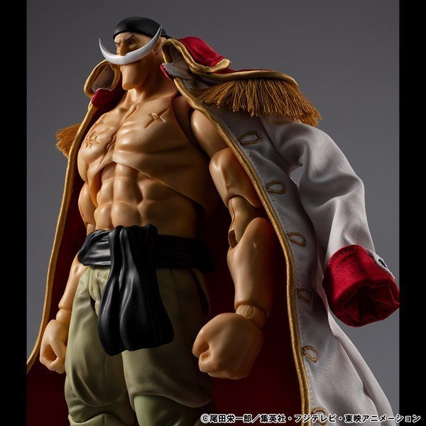 MegaHouse Variable Action Heroes ONE PIECE `Whitebeard` Edward Newgate Ver.1.5 (Figure) รูปภาพ 6