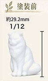 Asuka Model Scottish Fold (Set of 5) รูปภาพ 1