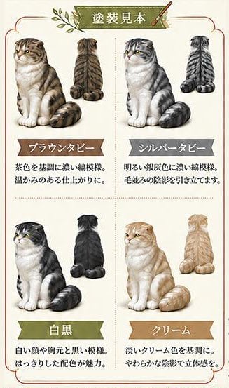 Asuka Model Scottish Fold (Set of 5) รูปภาพ 2