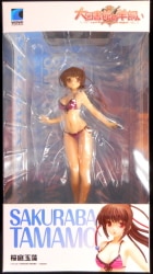 Wave - Beach Queens Tamamo Sakuraba hình ảnh 1