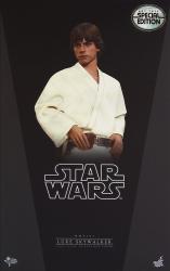 HOTTOYS MOVIE MASTERPIECE LUKE SKYWALKER (EP4) / SPECIAL EDITION MMS297
