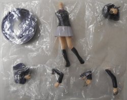 Bandai Girls Inn uniform / Kamen Rider Edition Kamen Rider series Akira Tenmi รูปภาพ 1