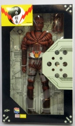MediCom Toy - Real Action Heroes - Inazuman F Sanagiman RAH105 รูปภาพ 1