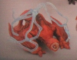 Capcom CAPCOM FIGURE BUILDER standard model Vol.10 furfuraldehyde subspecies รูปภาพ 1