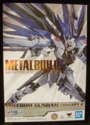 Bandai Metal Build Freedom Gundam CONCEPT 2