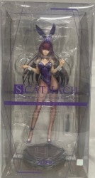 Alter 1/7 Scale Fate/Grand Order Scathach Piercing Bunny Ver. image 1