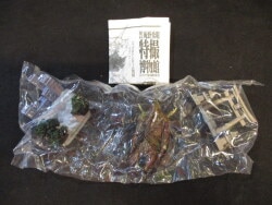 Venue Limited Edition Capsule Toy Kyoshinhei Soldiers Appearing in Tokyo Vignette Kyoshinhei Appearing (Normal) 1 รูปภาพ 1