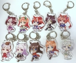 Bell House Trading Acrylic Key Holder Complete 10 Type Set รูปภาพ 1