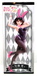 Taito Coreful Figure Saekano: Saekano: How to Raise a Boring Girlfriend Fine Kato Megumi Bunny Ver. รูปภาพ 1