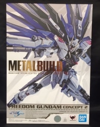 BANDAI SPIRITS METAL BUILD Mobile Suit Gundam Seed Freedom Gundam CONCEPT 2