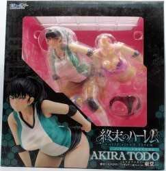 in box Rimusume Dress-up Figure Toudou Akira PVC