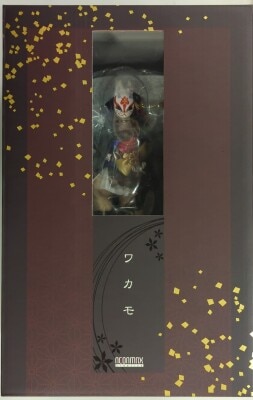 Neon Max/Tokyo Figure 1/7 Blue Archive Wakamo Resale Edition