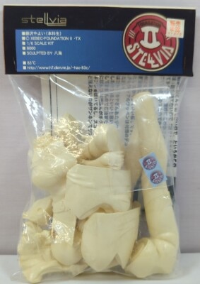 83℃ 1/6 Scale Cast Kit original mold Hakkai Yayoi Fujisawa (Undergraduate)