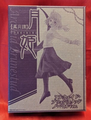Tsukihime Arcueid Brunestud (Normal) Bild 1