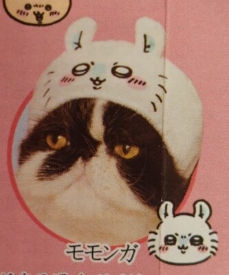 Kitan-Club Cat Headgear 3rd Series 2 Chiikawa Flying Squirrel