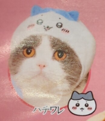 Kitan-Club Cat Headwear Vol. 32: Series : (Tyrannosaurus Cat)
