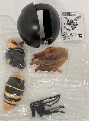 Bandai hornet, giant hornet