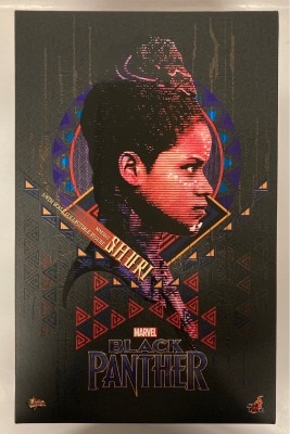 HOTTOYS MOVIE MASTERPIECE SHURI MMS501 รูปภาพ 1