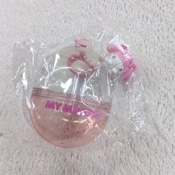 Sanrio Wakuwaku Sanrio Capsule Toy Division Secret Capsule Case My Melody 2026 image 1