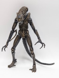 NECA (ACTION FIGURE) CLASSIC ALIEN WARRIOR (Brown) 7 inch
