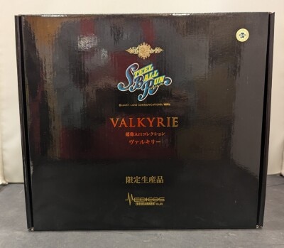 Medicos Super Figure Art Collection JoJo's Bizarre Adventure Valkyrie / Medicos Online Limited With Bonus set