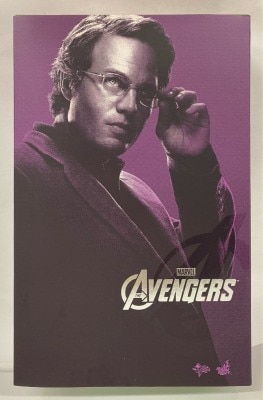 HOTTOYS MOVIE MASTERPIECE BRUCE BANNER MMS229 รูปภาพ 1