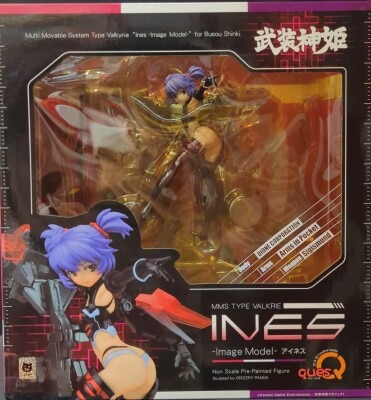 Ques Q Ines Image Model