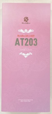 WORLDBOX CRAZY DURABLE AT203 1/6 Scale gambar 1