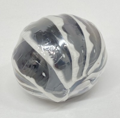 Bandai Animal Encyclopedia Advance: Pillbugs, Zebra Pillbugs Bild 1