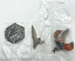 Capcom Capcom Figure Builder Monster Hunter Standard Model Plus Vol.14 Bazerugiusu (red-hot condition)